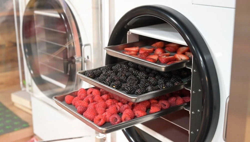 Application of freeze dryers | Shaanxi achieve chem Application of freeze dryers | Shaanxi achieve chem
